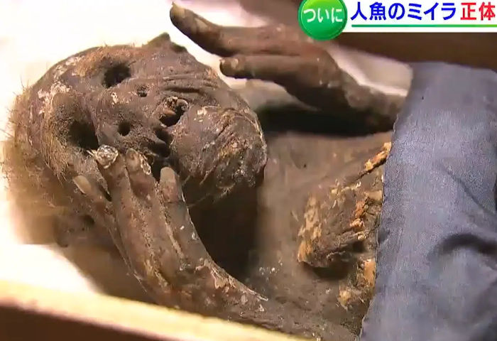 Mystery Of The 'Mummified Mermaid' In Japan Solved!