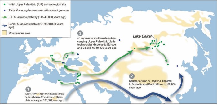 Can Pollen Analysis Solve The Ice Age Mystery How And When Homo Sapiens Migrated Across Europe And Asia?