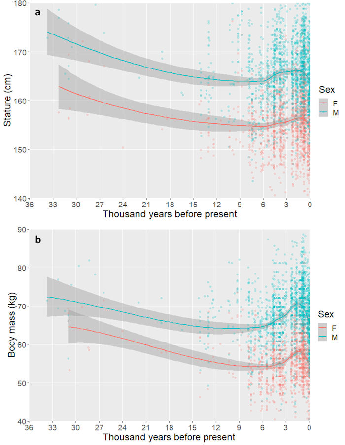 Drinking Milk Increased Ancient Human Body Size - New Study