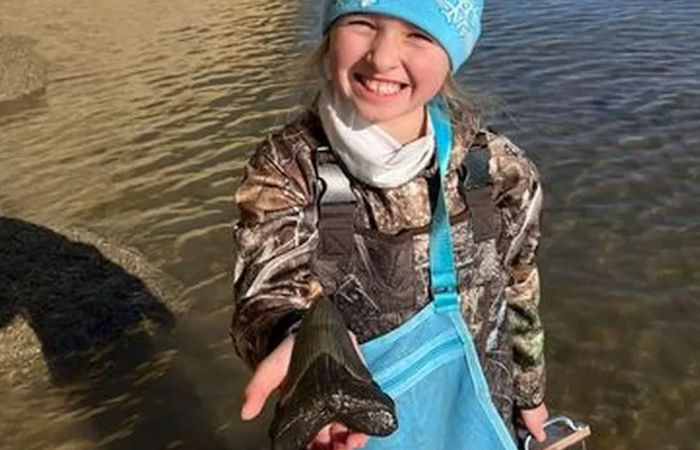 Young Girl Finds Rare Ancient Megalodon Shark Tooth On Maryland Beach