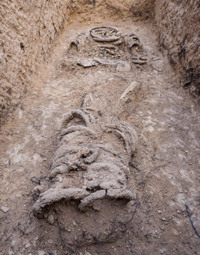 The human skeleton, chained with iron rings around his neck, hands, and feet, was discovered in a cist grave next to two small niche-like closed cells in the central apse of the church.