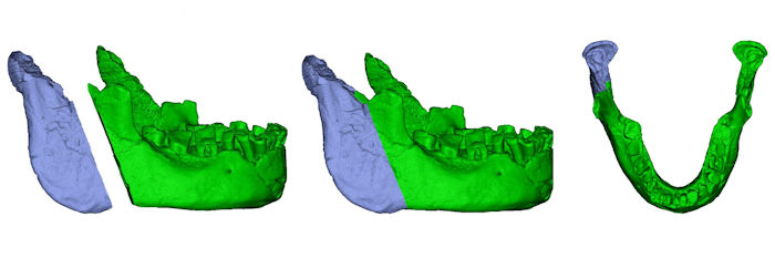 Mysterious Jawbone May Represent Earliest Presence Of Humans In Europe