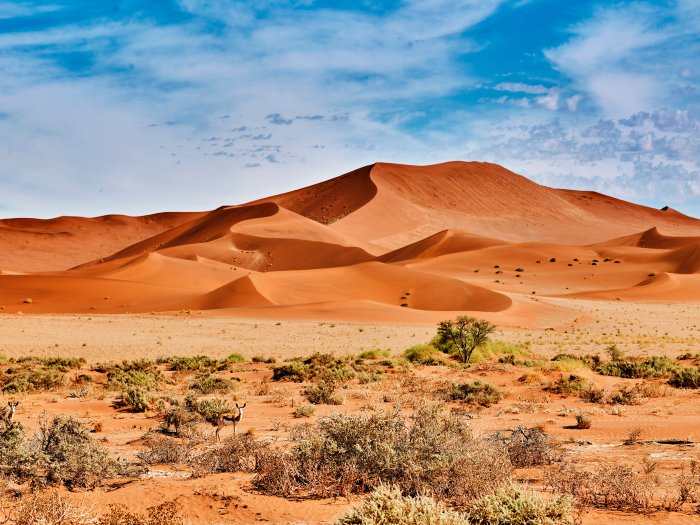 DNA Reveals Unique Ancestry Of Inhabitants Of The Angolan Namib Desert