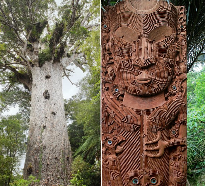 Tāne: Lord Of The Forest Who Brought Three Baskets Of Knowledge To People In Maori Mythology