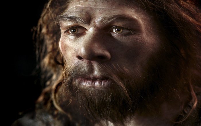 Scientists Explore How Neanderthals Caught Birds In Caves For Food