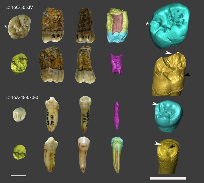 Neanderthals Lived Much Longer In Gipuzkoa Than Previously Thought