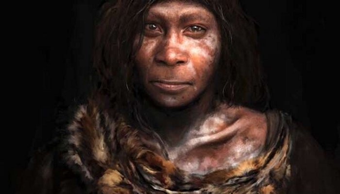 New Details On Neanderthals - Revealed By Museum Exhibition In Norway