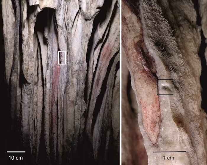 Neanderthals: The Oldest Art In The World Wasn't Made By Humans