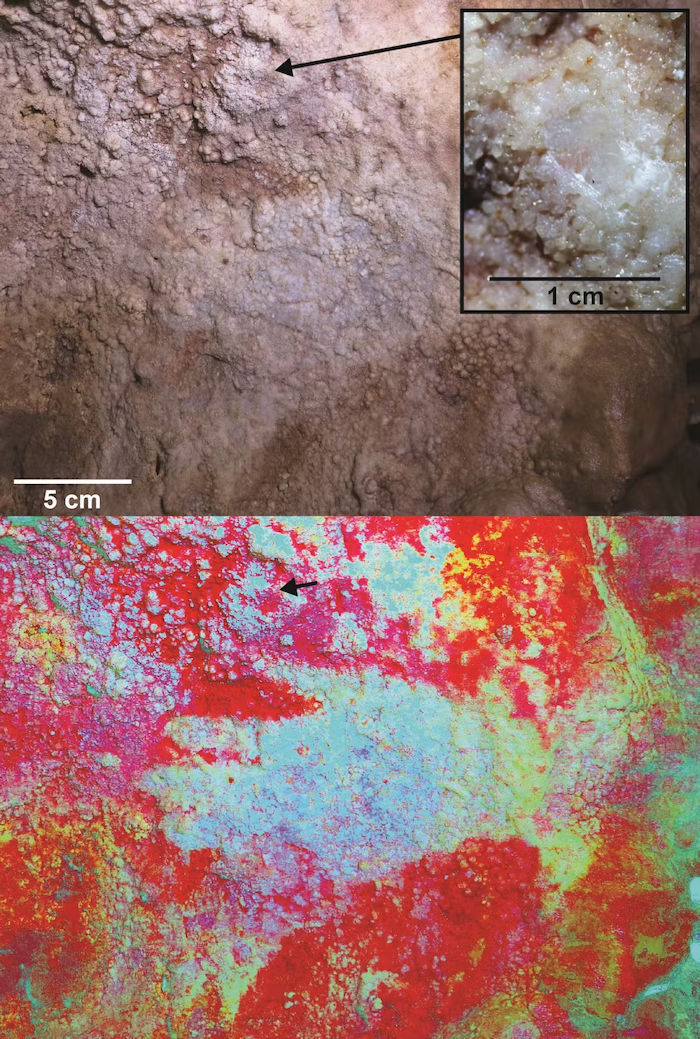 Neanderthals: The Oldest Art In The World Wasn't Made By Humans