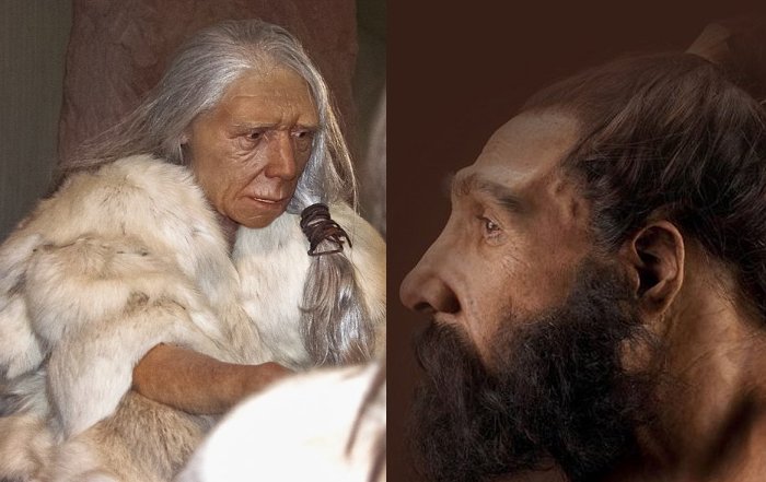 Neanderthal And Denisovan Blood Groups Deciphered And The Results Are Surprising