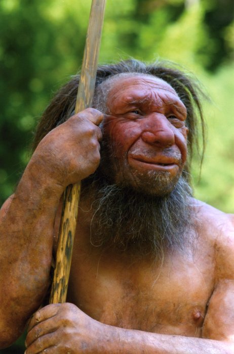 Neanderthal Intelligence Revealed By Their Use Of Fire For Cooking