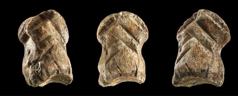 51,000-Year-Old Bone Carving Shows Neanderthals Were Artistic Long Before Humans Arrived 