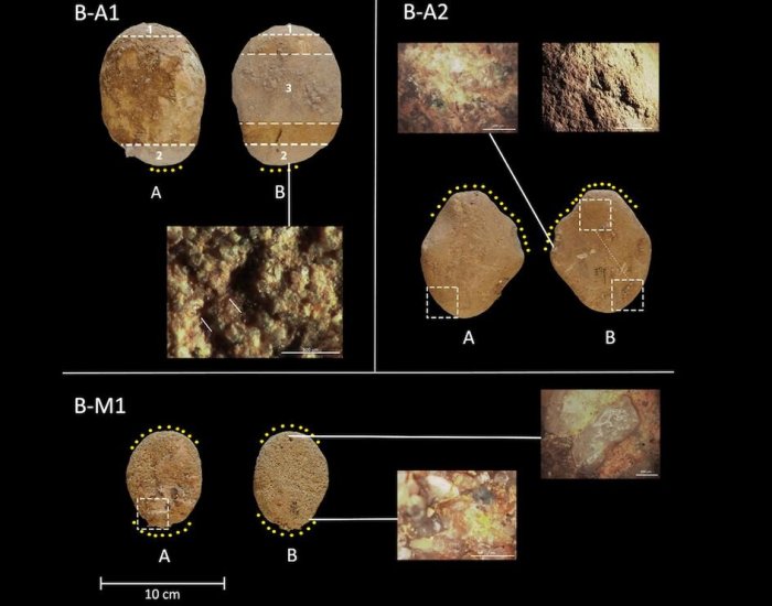 Major Discovery Reveals Neanderthals In Italy Engaged In Plant Food Processing