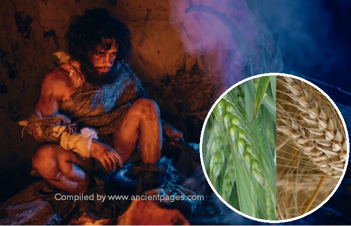 Major Discovery Reveals Neanderthals In Italy Engaged In Plant Food Processing