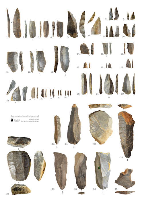 Tool Patterns Reveal What Caused The Neanderthals' Extinction In The Iberian Peninsula