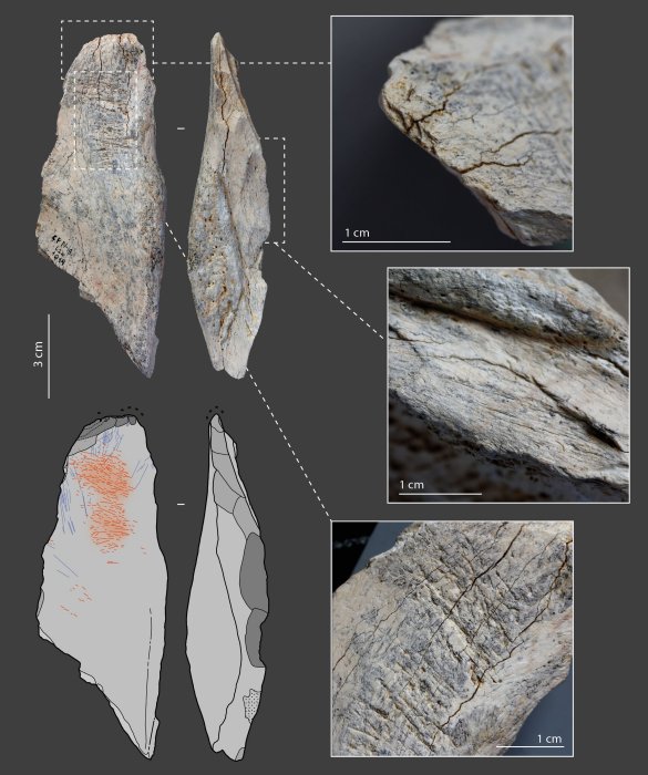 Little Known Neanderthal Technology Examined - Turning Bones Into Tools