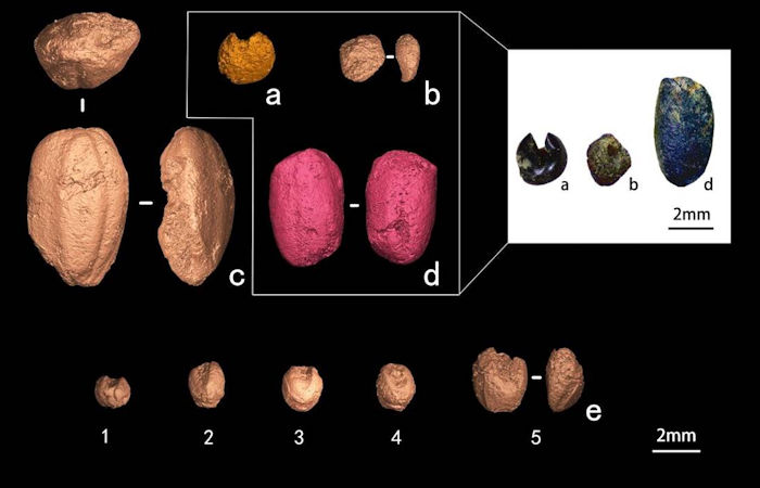 What was the agriculture like in southeast China in the Late Neolithic?