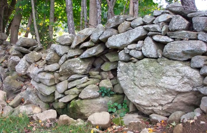 New England's Abandoned Stone Walls Deserve A Science Of Their Own