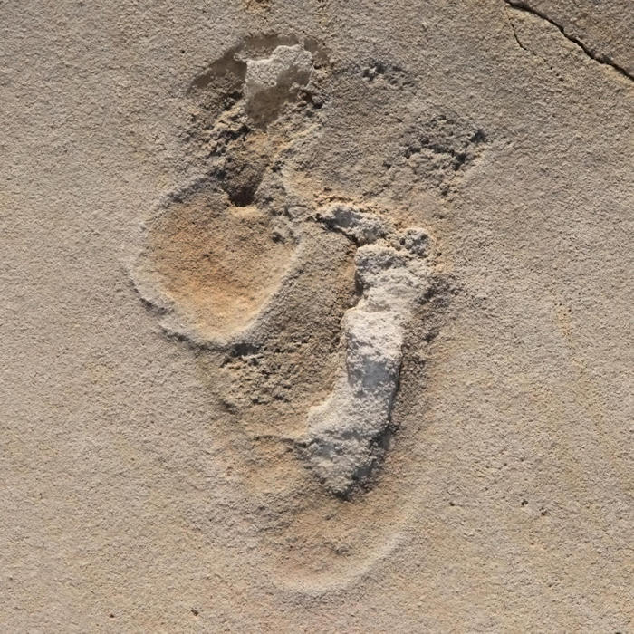 Oldest Footprints Of Pre-Humans Discovered In Crete