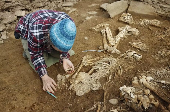 Riddle Of Orkney's Lost Tomb - Fascinating Neolithic Discovery