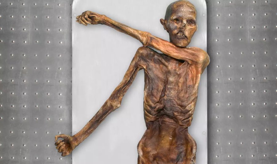 Since 2012, which is when Ötzi’s genome was sequenced for the first time, DNA sequencing technologies have advanced… enormously. This new study reveals that compared to other contemporary Europeans, Ötzi’s genome had an unusually high proportion of genes in common with those of early farmers from Anatolia, that his skin was darker than previously thought, and that he was likely bald or had little hair on his head when he died. Image credit: South Tyrol Museum of Archaeology/Eurac/Marco Samadelli-Gregor Staschitz