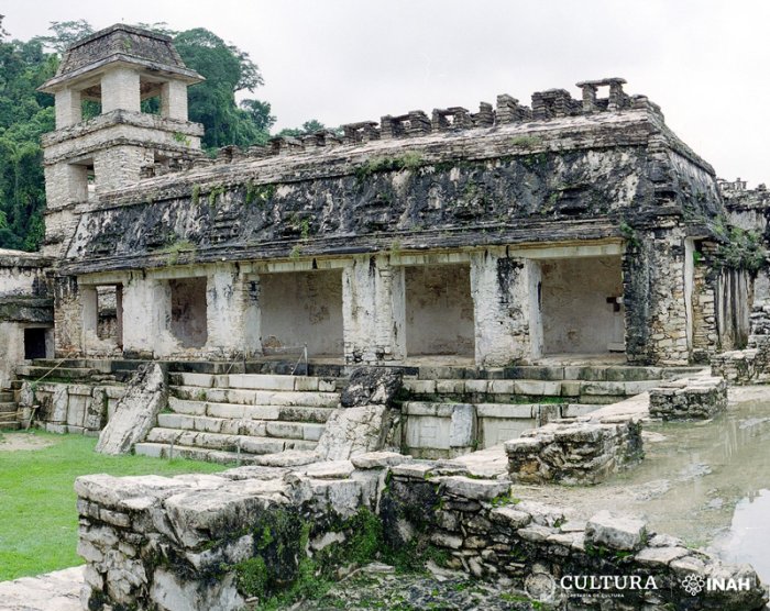 Ancient Maya Nose Ornament Made Of Human Bone Discovered In Palenque