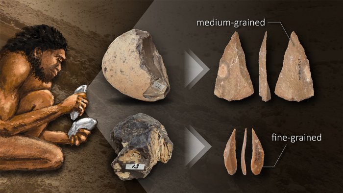 Paleolithic Humans May Have Understood The Properties Of Rocks For Making Stone Tools