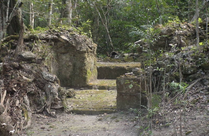 Lost Mayan City Hidden Deep In The Peten Jungle Discovered By Expedition Team