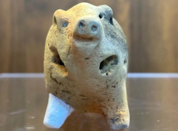 Unique Pig-Shaped Figurine Found In East China Was Probably A Child's Toy 6,000-Years Ago