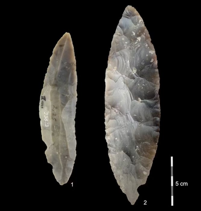 Early Humans Reached Northwest Europe 45,000 Years Ago - New Research Shows