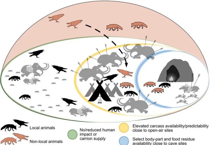 Evidence Ravens Share A 30,000-Year-Old Relationship With Humans