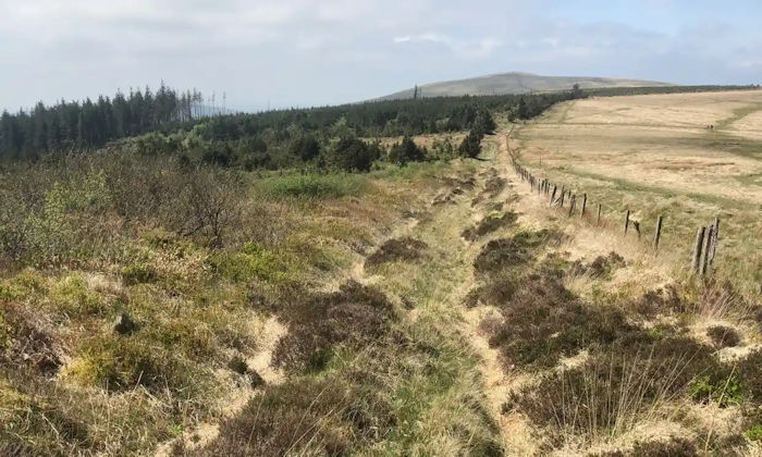 Surprising Discovery Of A Perfectly Ancient Road Shows Romans Moved Deeper Into Wales Than Previously Thought