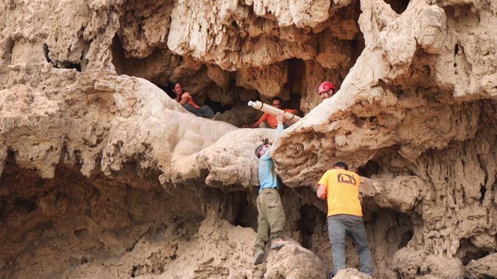 Four Rare And Incredibly Well-Preserved 1,900-Year-Old Roman Swords Found In Judean Desert