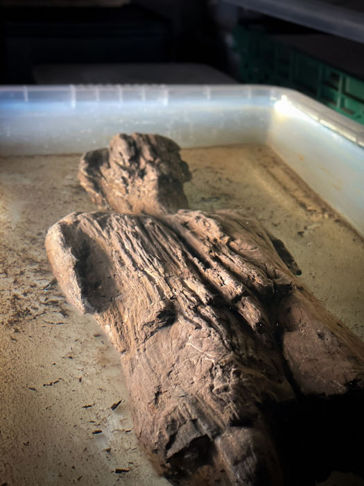 Unexpected Discovery Of Rare Ancient Roman Wooden Figure In Buckinghamshire 