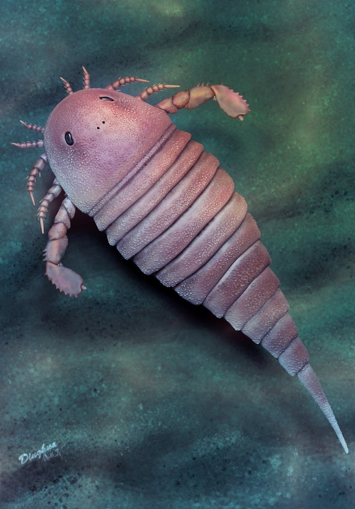 Life reconstruction of Archopterus anjiensis. Credit: Yang Dinghua