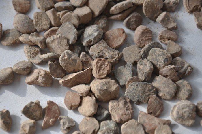 More Than 2,000 Seal Impressions Found In The Ancient City Of Doliche