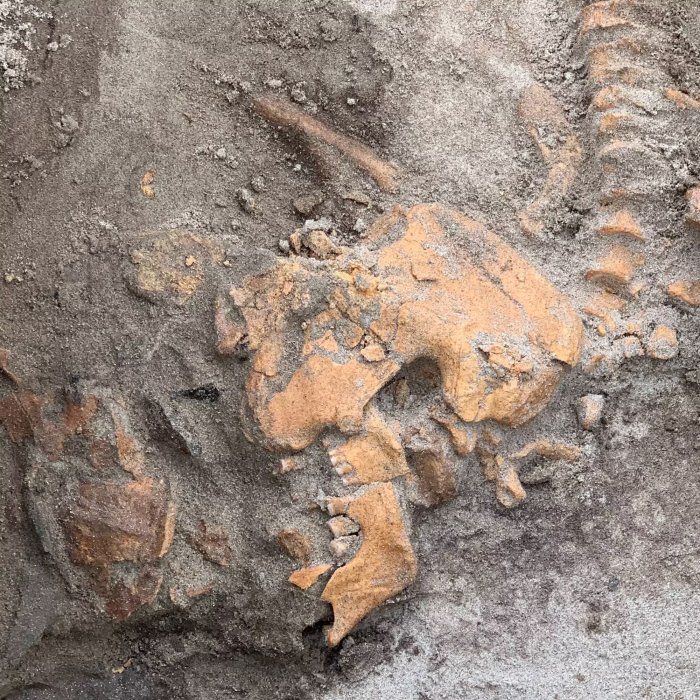 'Sensational' Discovery Of Large Untouched 4,000-Year-Old Grave In Norway