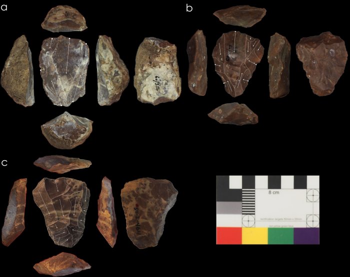 Startling Discovery Of Nubian Levallois Technology In Shukbah Cave Re-Writes Ancient History Of Neanderthals And Homo Sapiens 