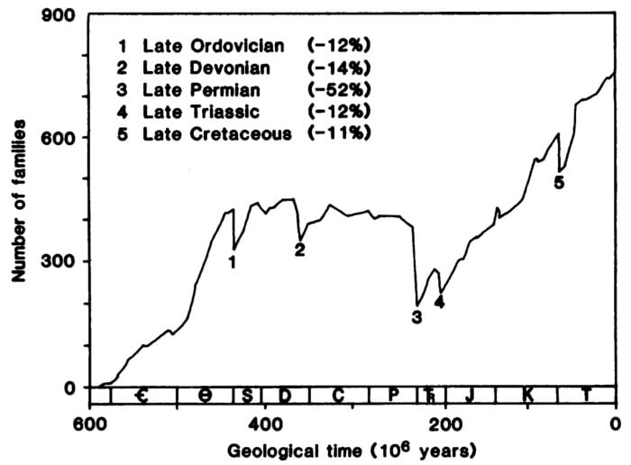 Are We Really In A Sixth Mᴀss Extinction?