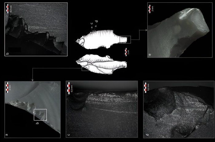 Oldest Known Spearthrowers Found At 31,000-Year-Old Archaeological Site Of Maisières-Canal