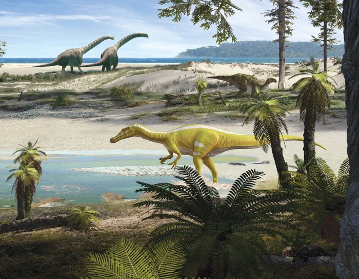 New Spinosaurid Dinosaur Found In Spain