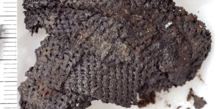 This Is One Of The Oldest Pieces Of Cloth In The World And It's Made Of Bast Fibres!