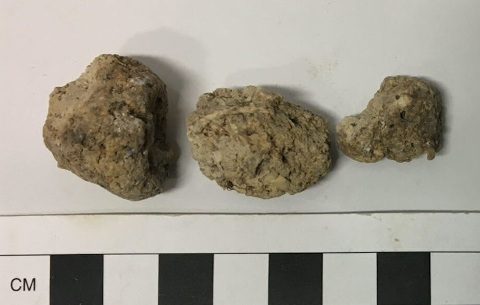 Prehistoric Feces At Stonehenge Reveal The Earliest Evidence For Intestinal Parasites In The UK 