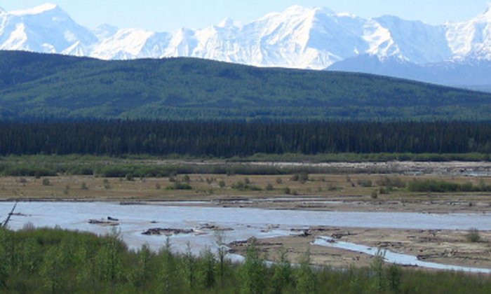 Tanana river east of Fairbanks