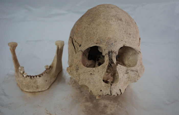 DNA Study Of Ancient Humans Sheds Light On Human Evolution On The Tibetan Plateau