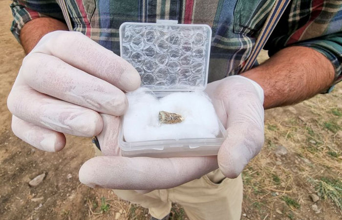 1.8-Million-Year-Old Human Tooth Found In Georgia Offers More Information On Prehistoric Human Migrations