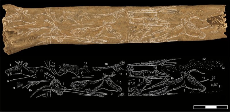 Tracing of the engraving of the tube indicating the number of graphs. Credit: Journal of Paleolithic Archaeology (2023). DOI: 10.1007/s41982-023-00143-1