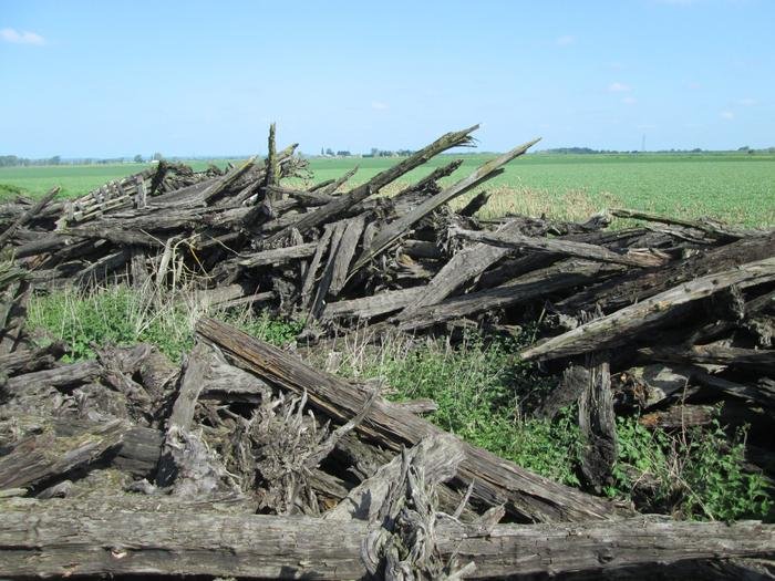 Mysterious History Of Fenland: The UK's Possible Link To A Megadrought That Led To The Collapse Of Civilisations Around The World