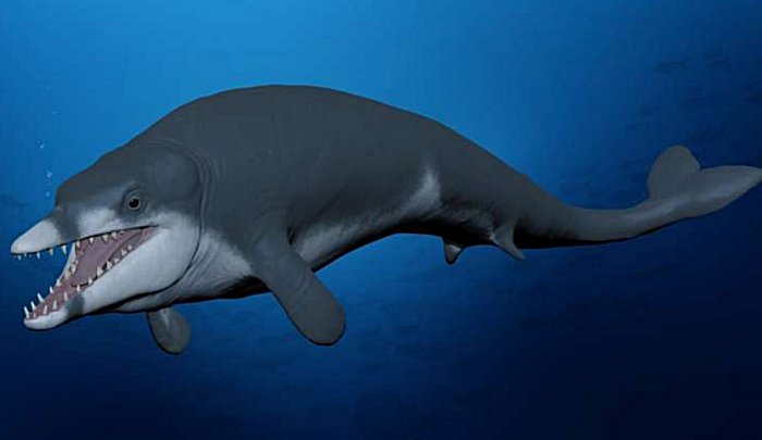 Tutcetus: The 'Pharaoh' Of Whales Who Died Young 41 Million Years Ago