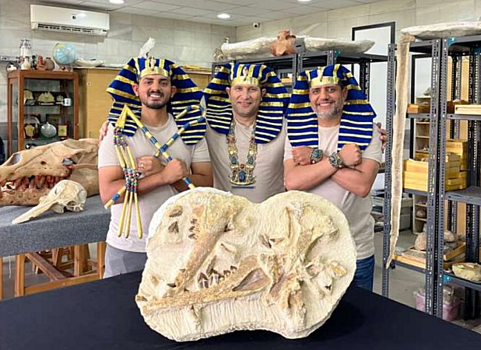 Egyptian researchers don the regalia of King Tutankhamun as they proudly present the holotype fossils of the newly discovered whale species, Tutcetus rayanensis, at Mansoura University Vertebrate Paleontology Center. From left: Abdullah Gohar holds the symbolic crook and flail of King Tutankhamun, Mohamed Sameh wears the iconic King Tutankhamun Scarab Necklace, and Hesham Sallam sports Tutankhamun’s Scarab Bracelet. Credit: Hesham Sallam - Mansoura University Vertebrate Paleontology Center